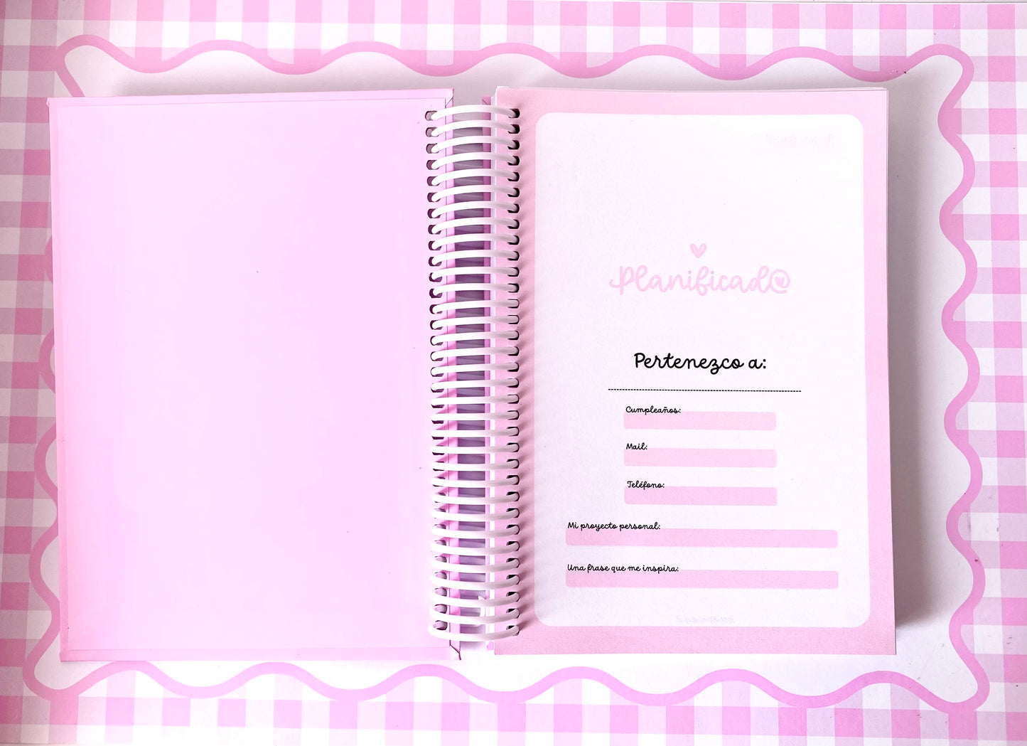 Planner Planificada