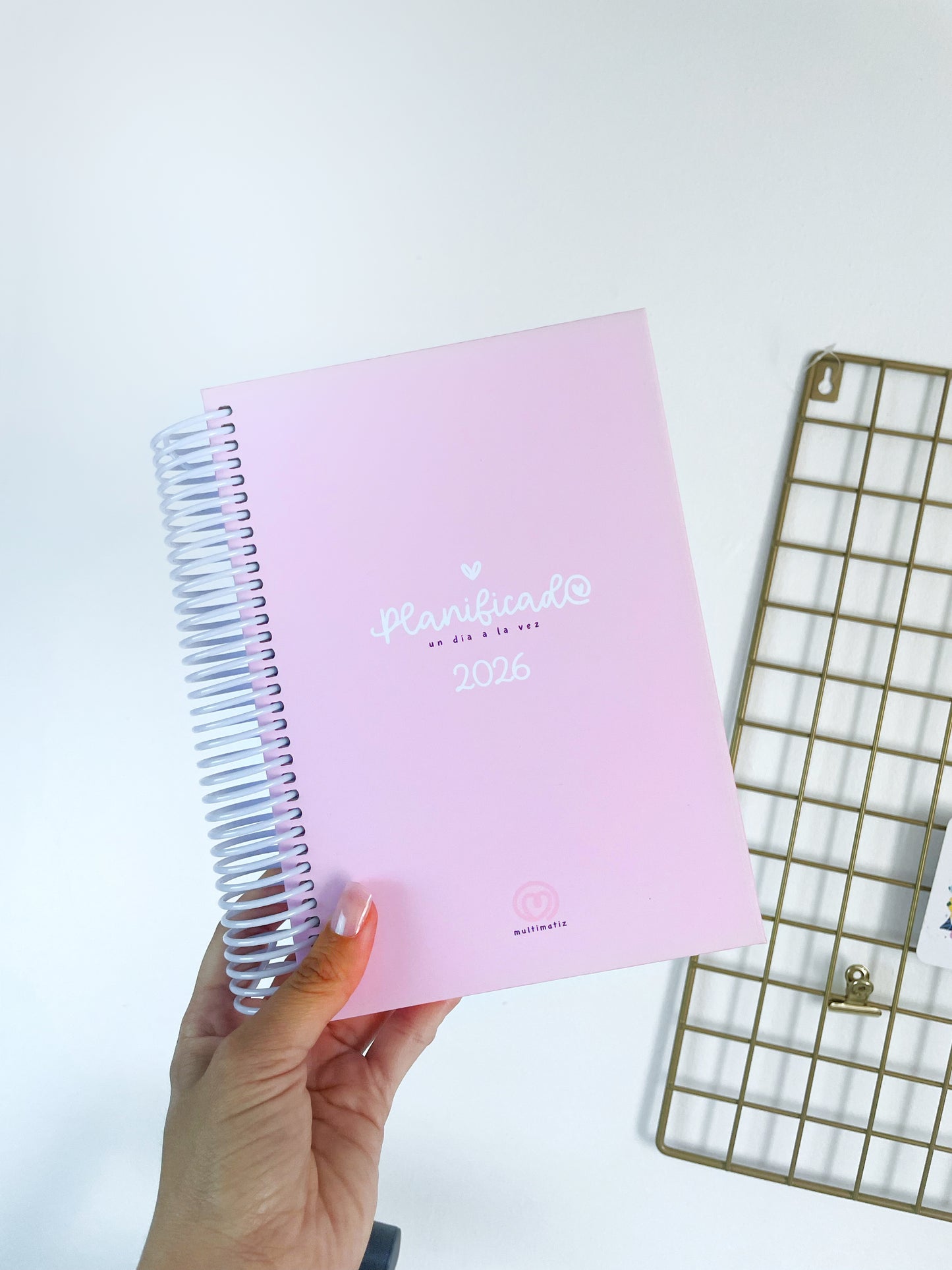 Agenda Planificada 2026 (PREVENTA)