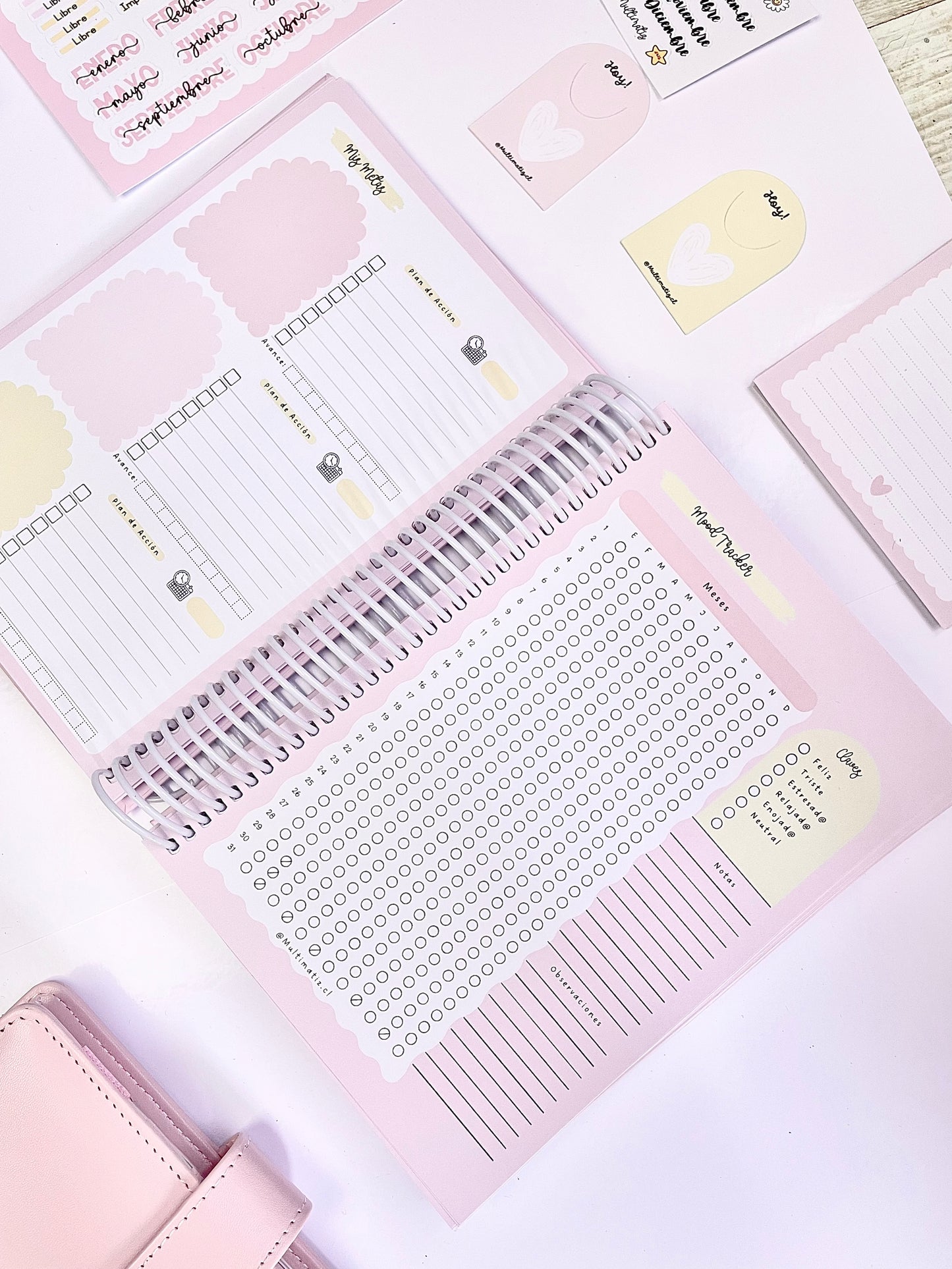 Agenda Planificada 2026 (PREVENTA)