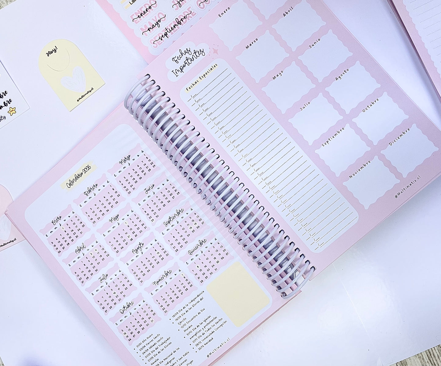 Agenda Planificada 2026 (PREVENTA)