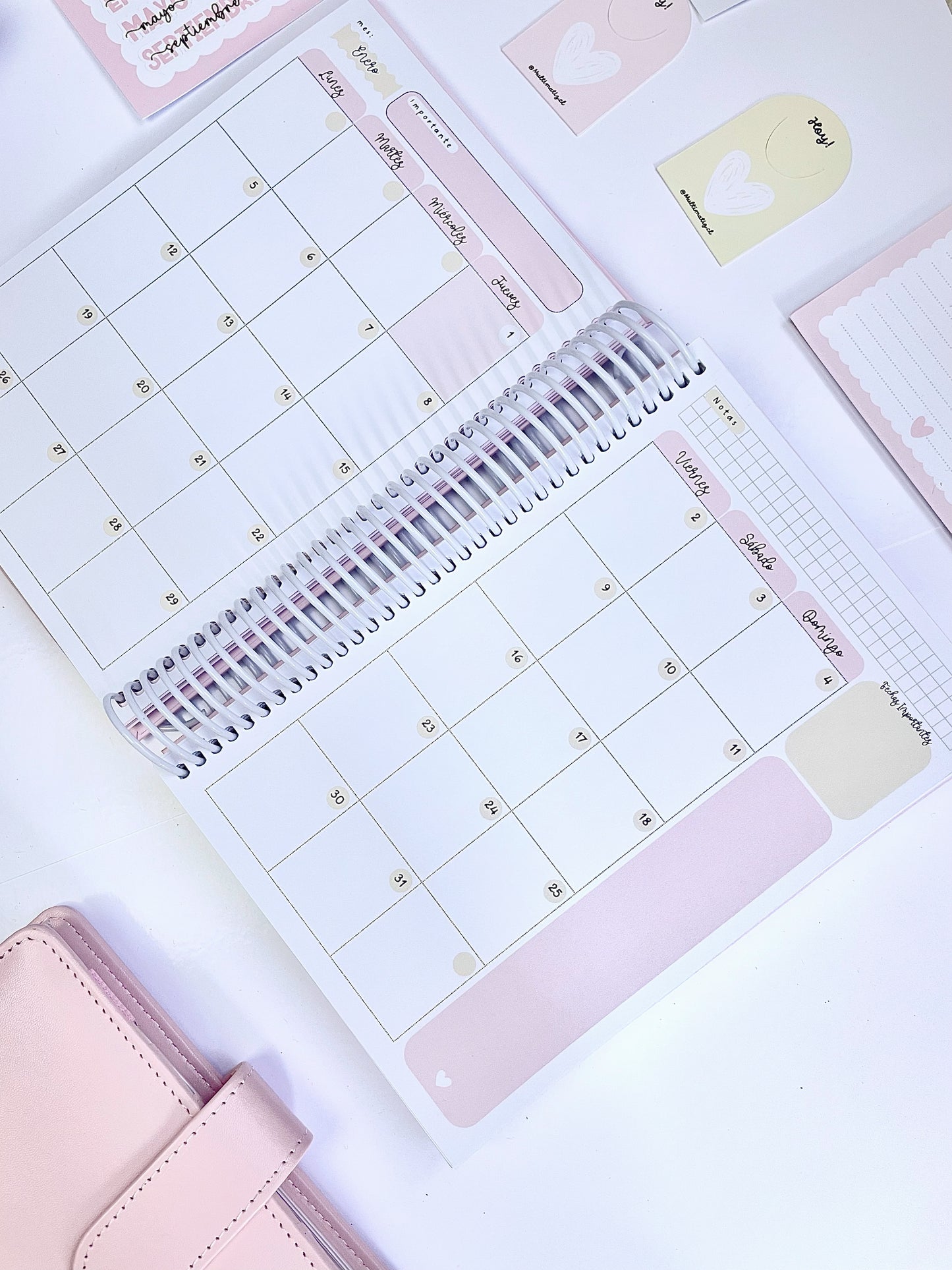 Agenda Planificada 2026 (PREVENTA)